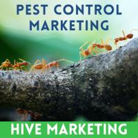 Hive Marketing image 5